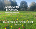Primavery Flowers 2024 - Villa Godi Malinverni